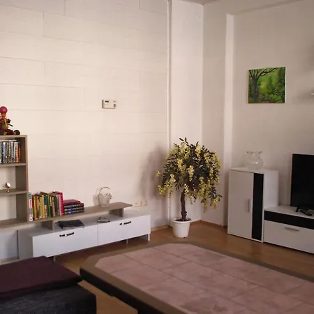 Apartment Rose Schoeneck (Saxony)