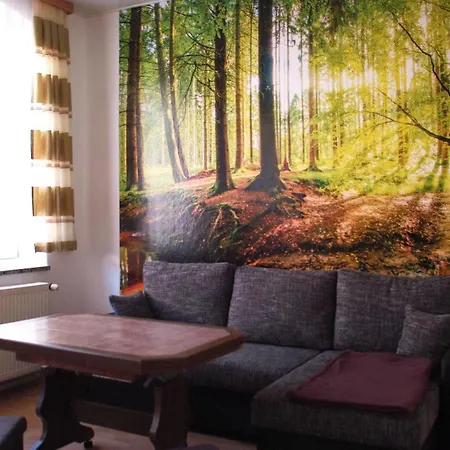 Apartment Rose Schoeneck (Saxony)